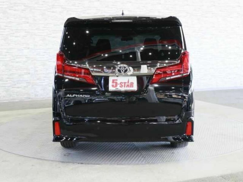 ALPHARD-13