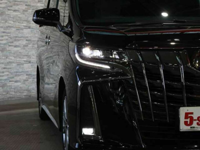 ALPHARD-14