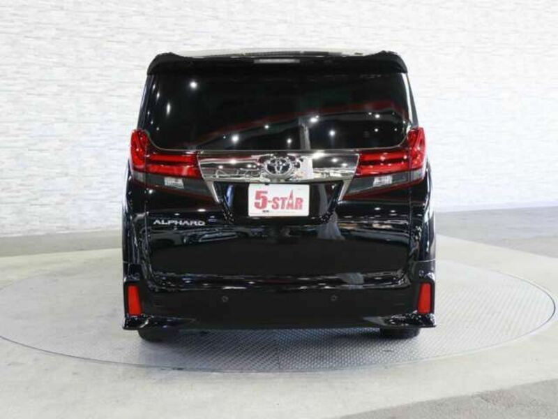 ALPHARD-13