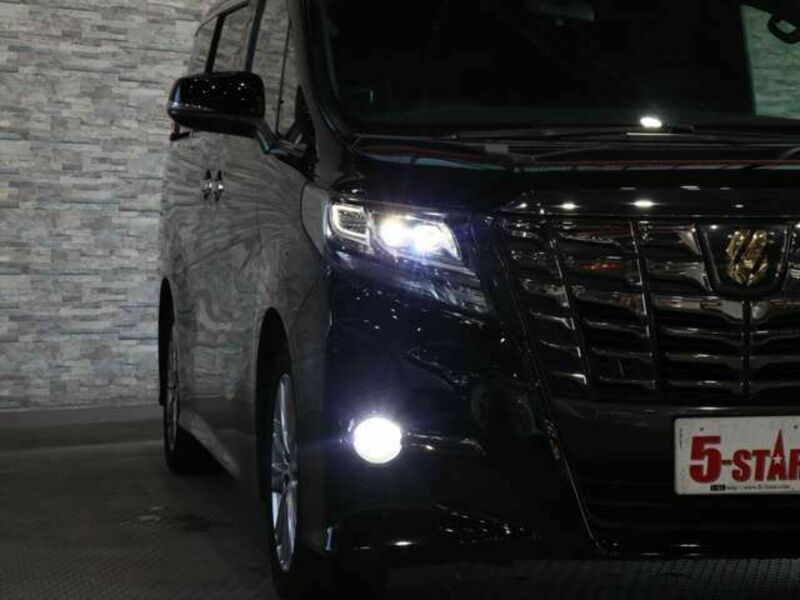 ALPHARD-14