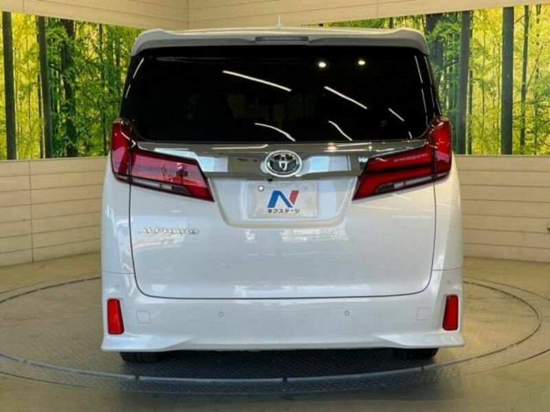 ALPHARD-15