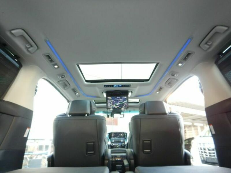 ALPHARD-25