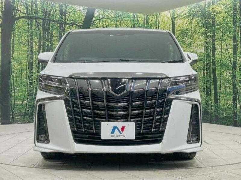 ALPHARD-15