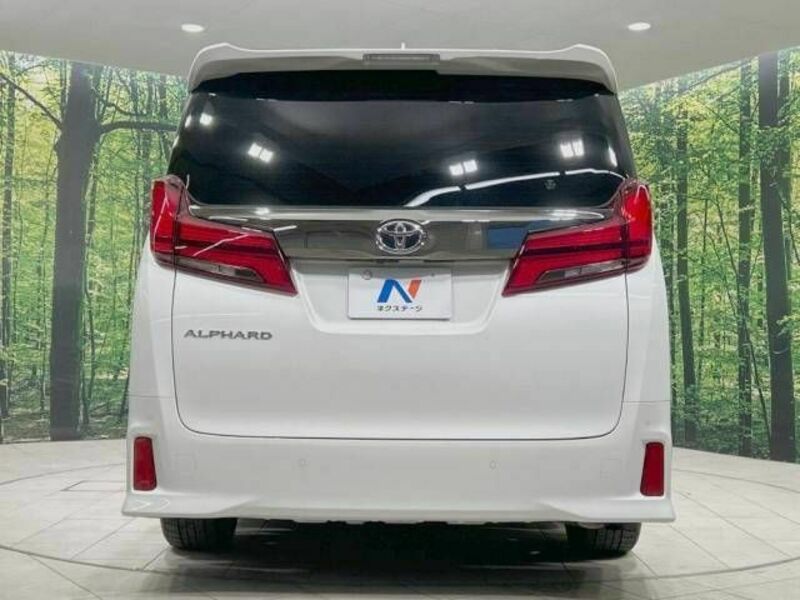 ALPHARD-16