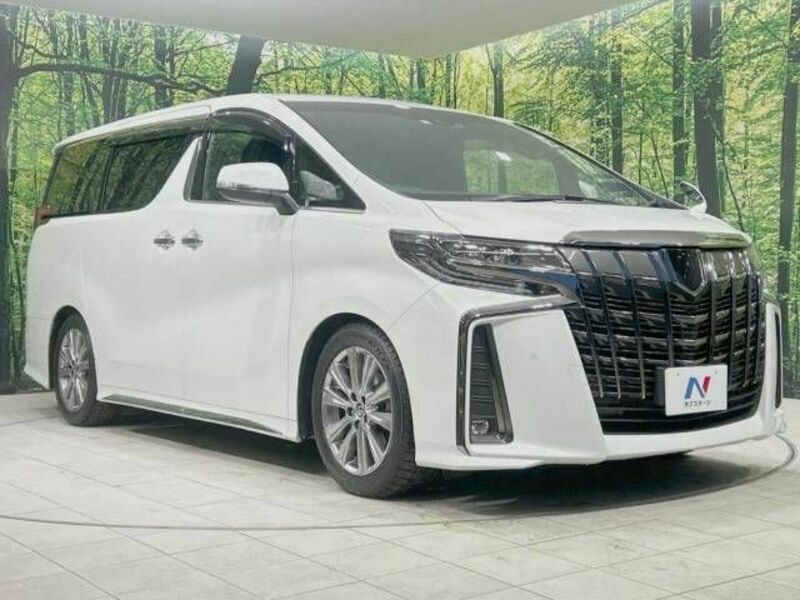 ALPHARD-17