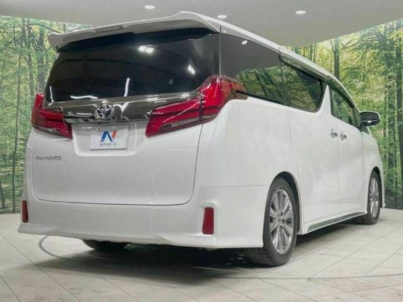 ALPHARD-18