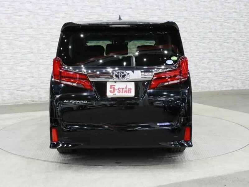 ALPHARD-13