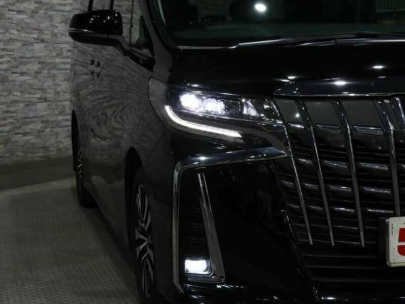 ALPHARD-14