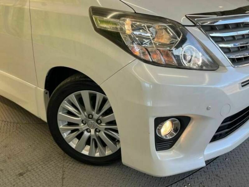 ALPHARD-13