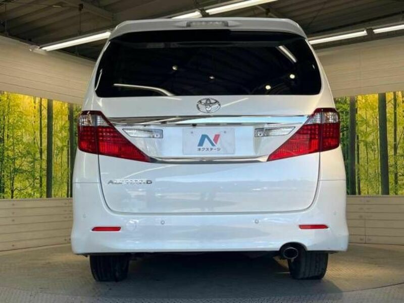 ALPHARD-16