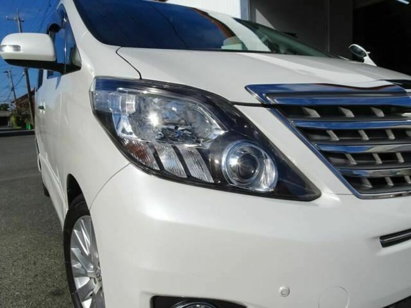 ALPHARD-21