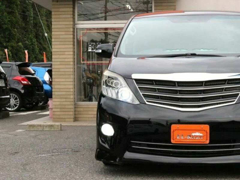 ALPHARD-10