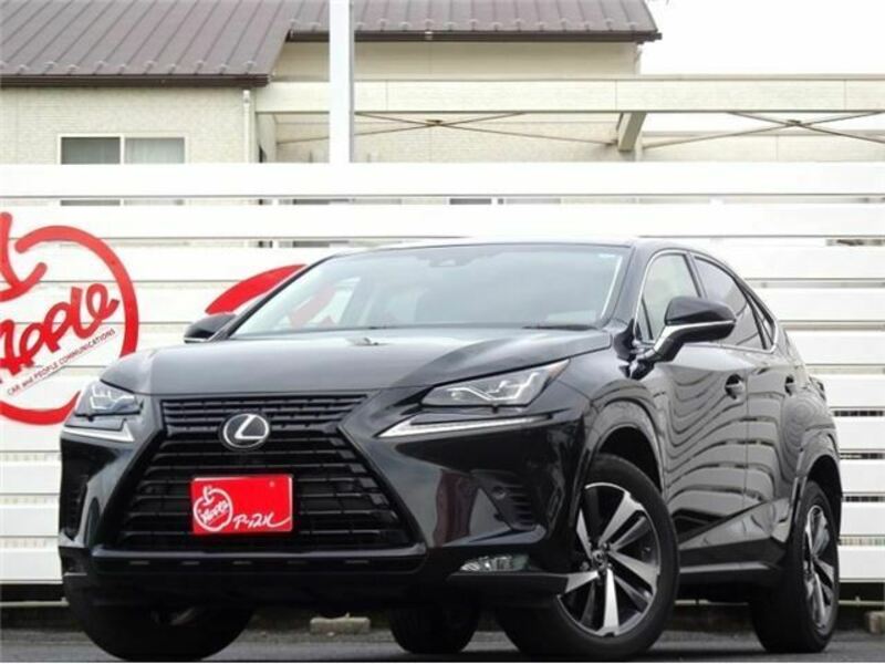 LEXUS　NX