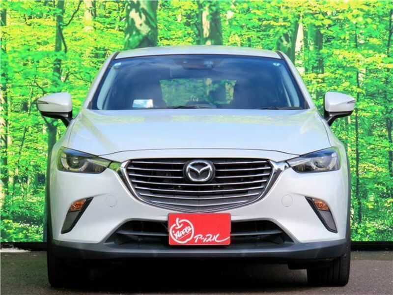 CX-3-1