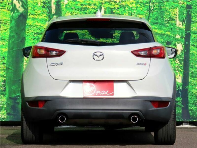 CX-3-2