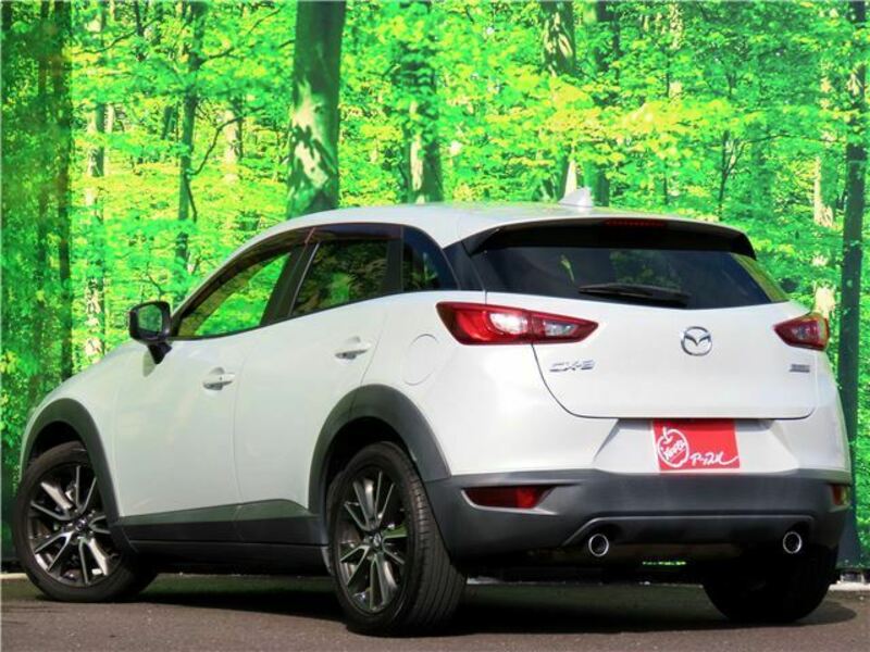 CX-3-6