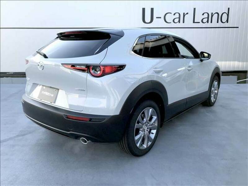 CX-30-4