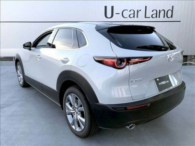 CX-30-6