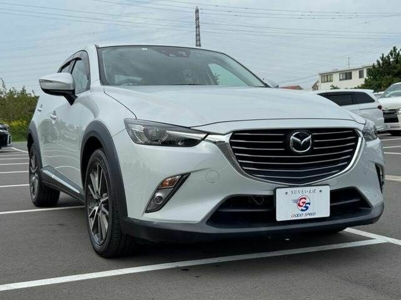 CX-3-13