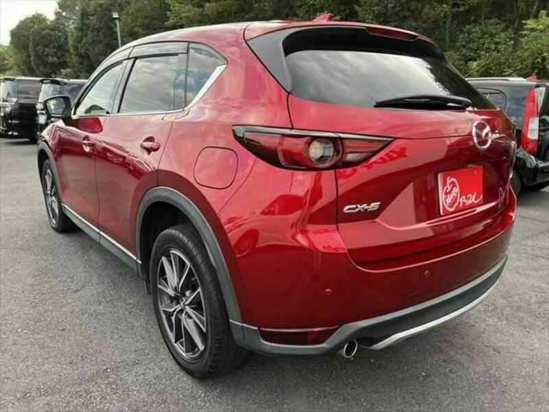 CX-5-19