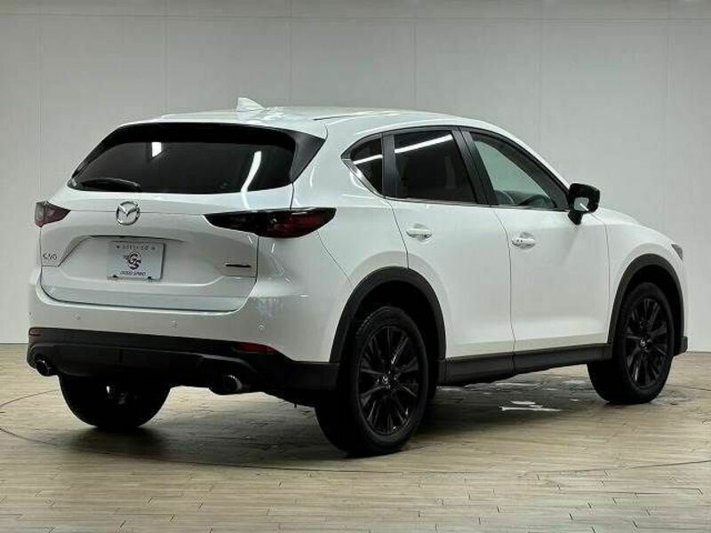 CX-5-15