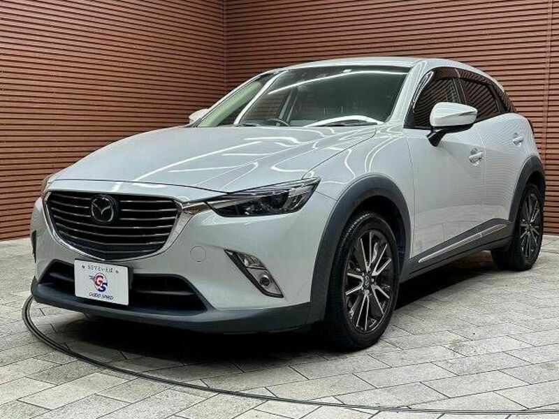 CX-3-13