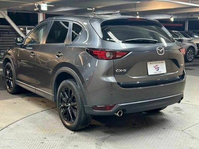 CX-5-18