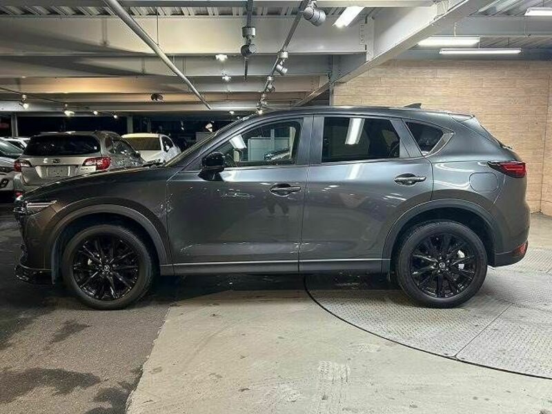 CX-5-19