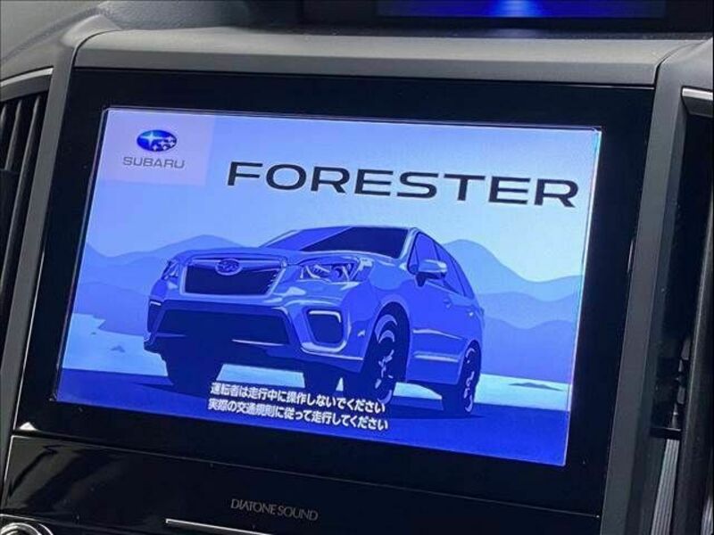 FORESTER-2