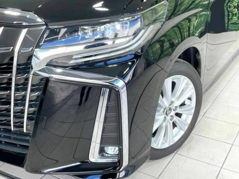 ALPHARD-13