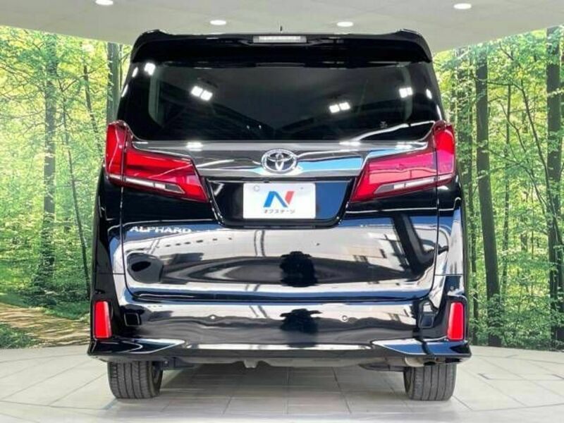 ALPHARD-16