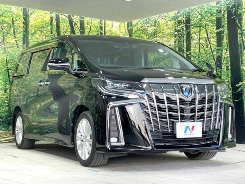 ALPHARD-17