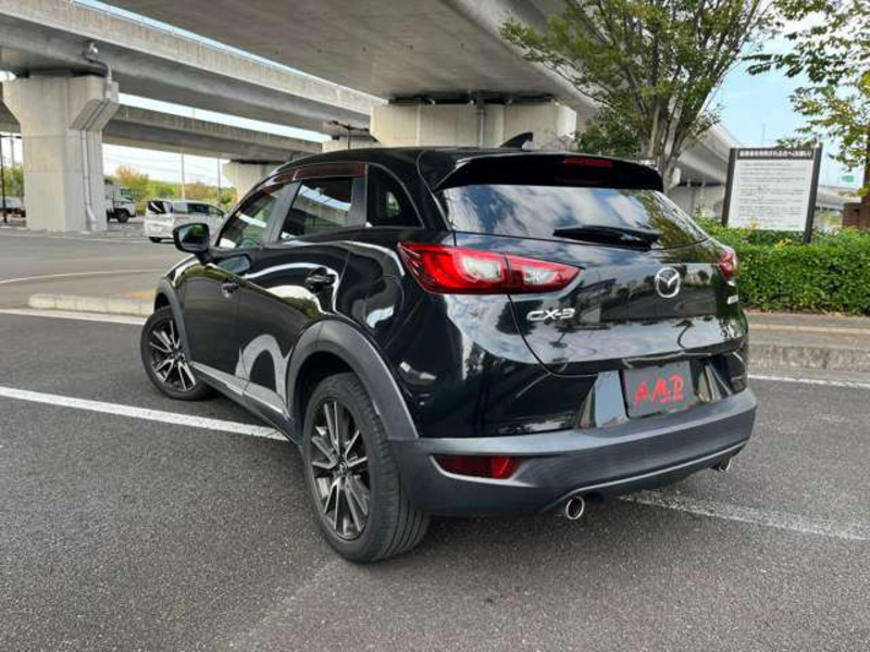 CX-3-19