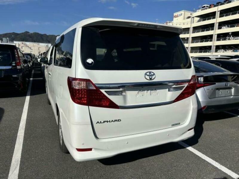 ALPHARD-7