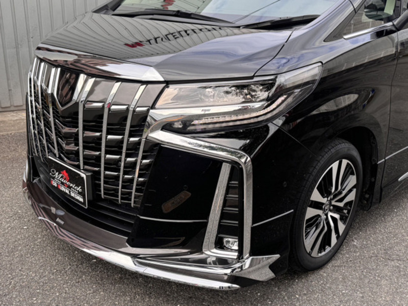 ALPHARD-2