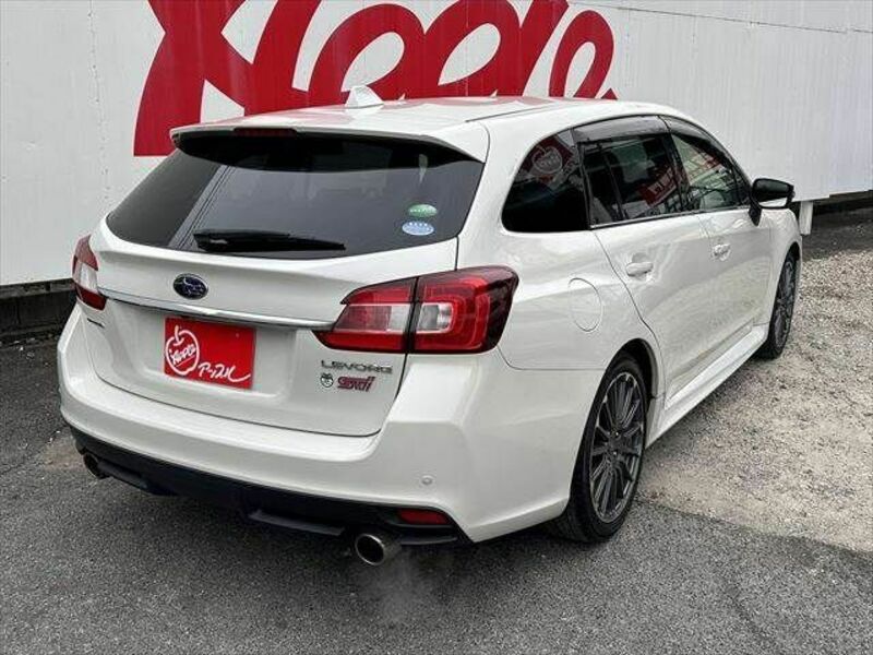 LEVORG-14