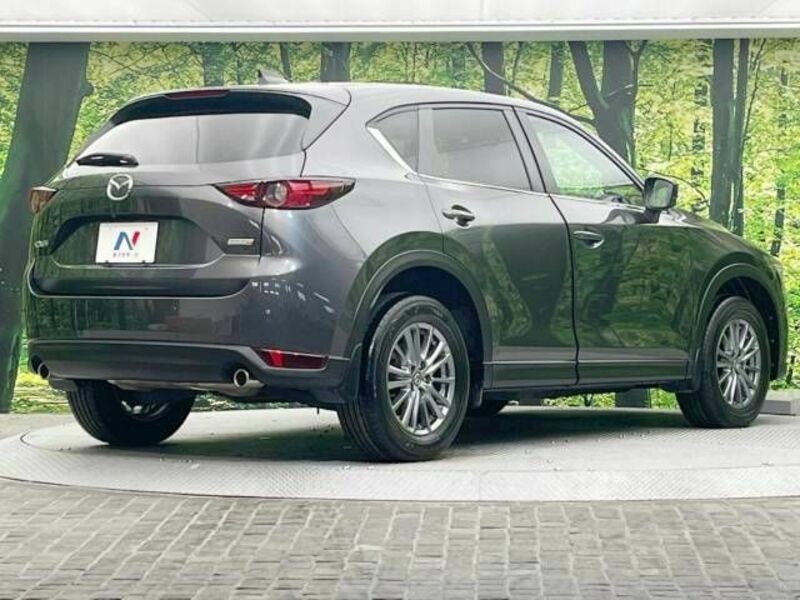 CX-5-17