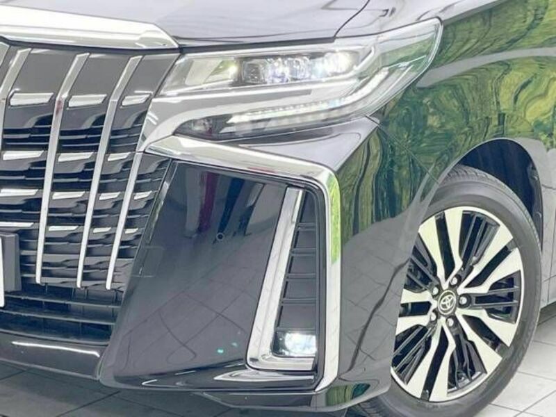 ALPHARD-12