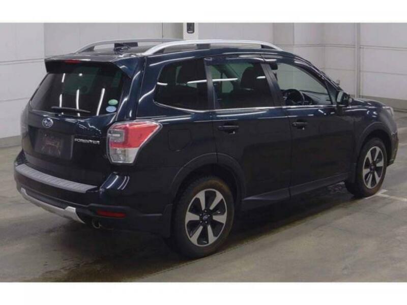 FORESTER-1