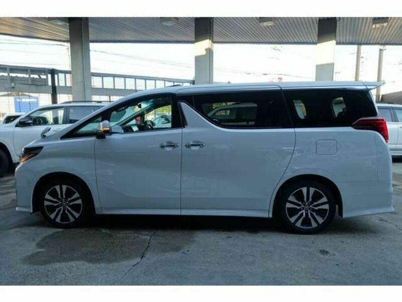 ALPHARD-3