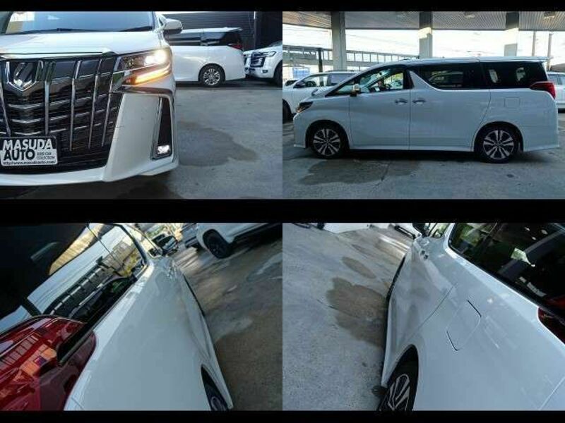 ALPHARD-13