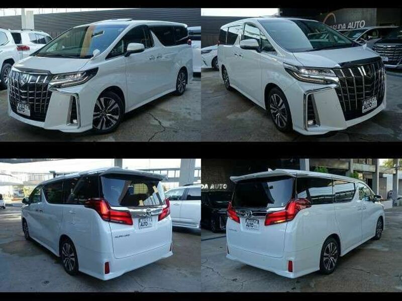 ALPHARD-15