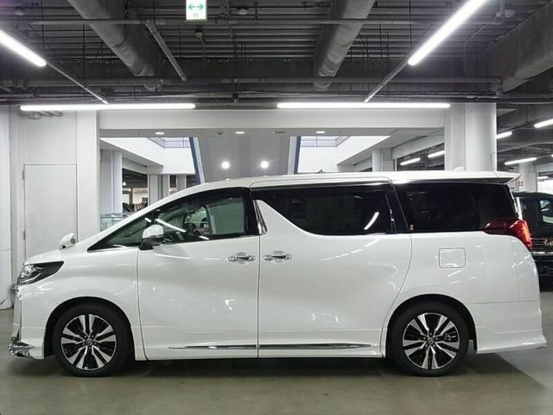 ALPHARD-8