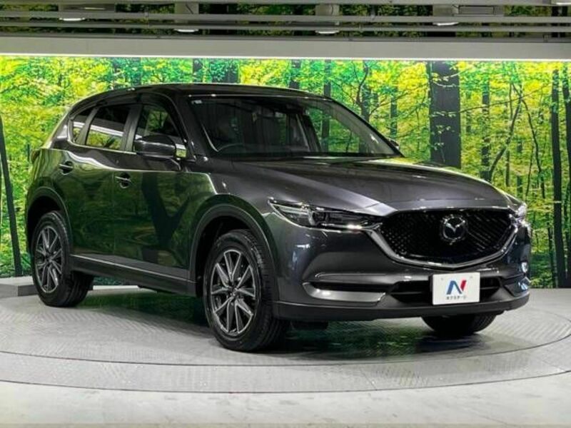 CX-5-16