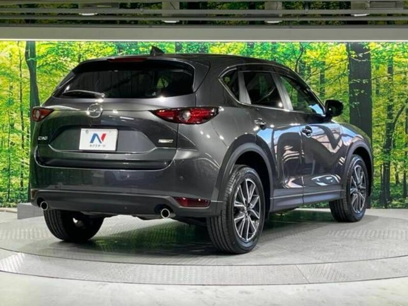 CX-5-17