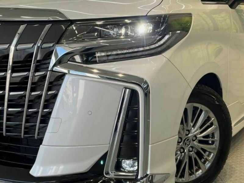 ALPHARD-13