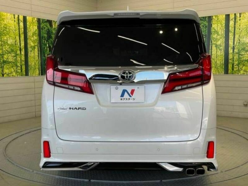 ALPHARD-16