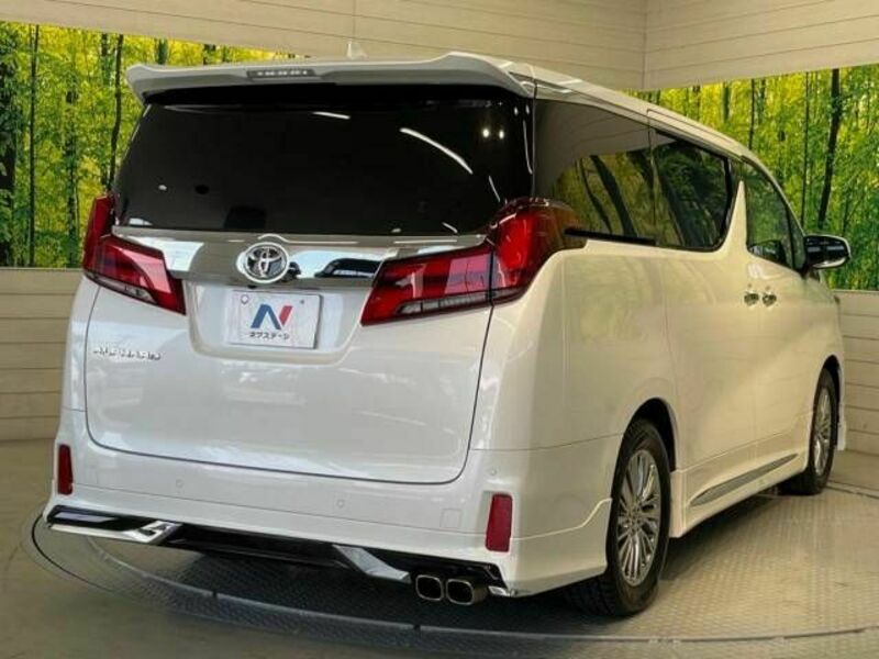 ALPHARD-18