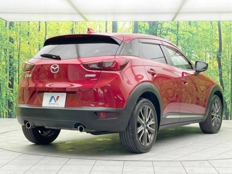 CX-3-17