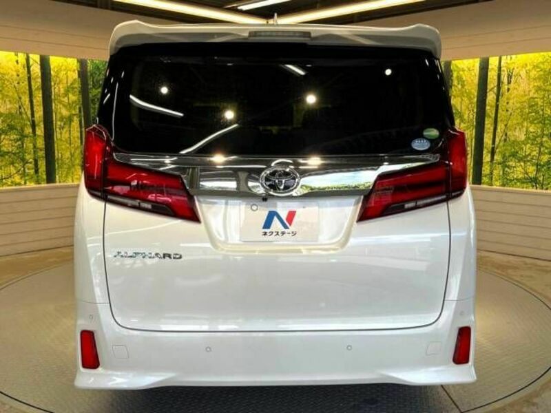 ALPHARD-16